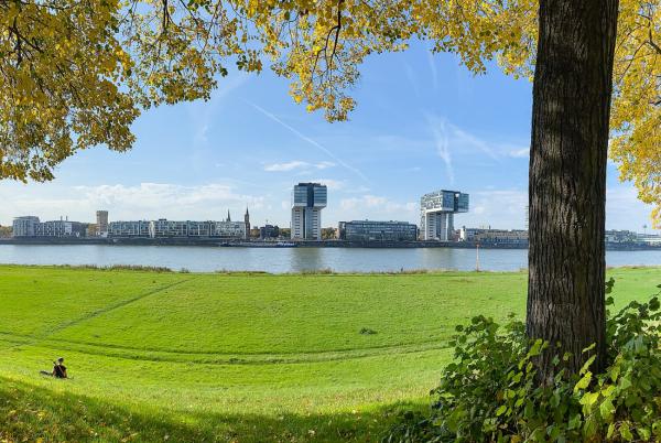 Die Poller Wiesen: Grillen, Drachensteigen und der beste Sonnenuntergang der Stadt