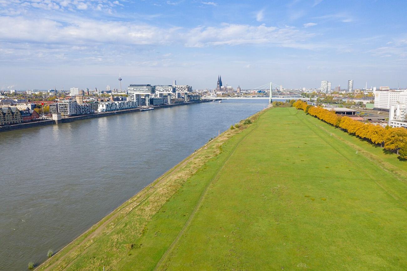 Die Poller Wiesen: Grillen, Drachensteigen und der beste Sonnenuntergang der Stadt