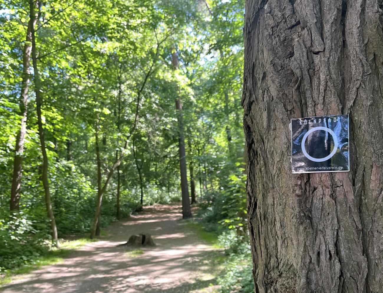 Die schönsten Etappen auf dem Kölnpfad: Wandern rund um die Stadt