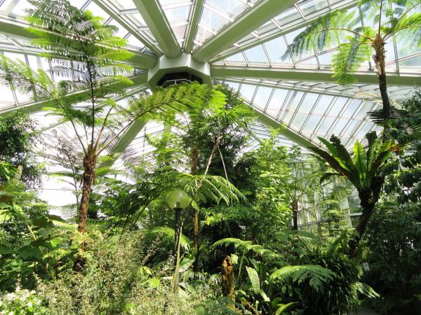 Weltreise im Glashaus: Warum der Palmengarten zu jeder Jahreszeit ein Highlight ist