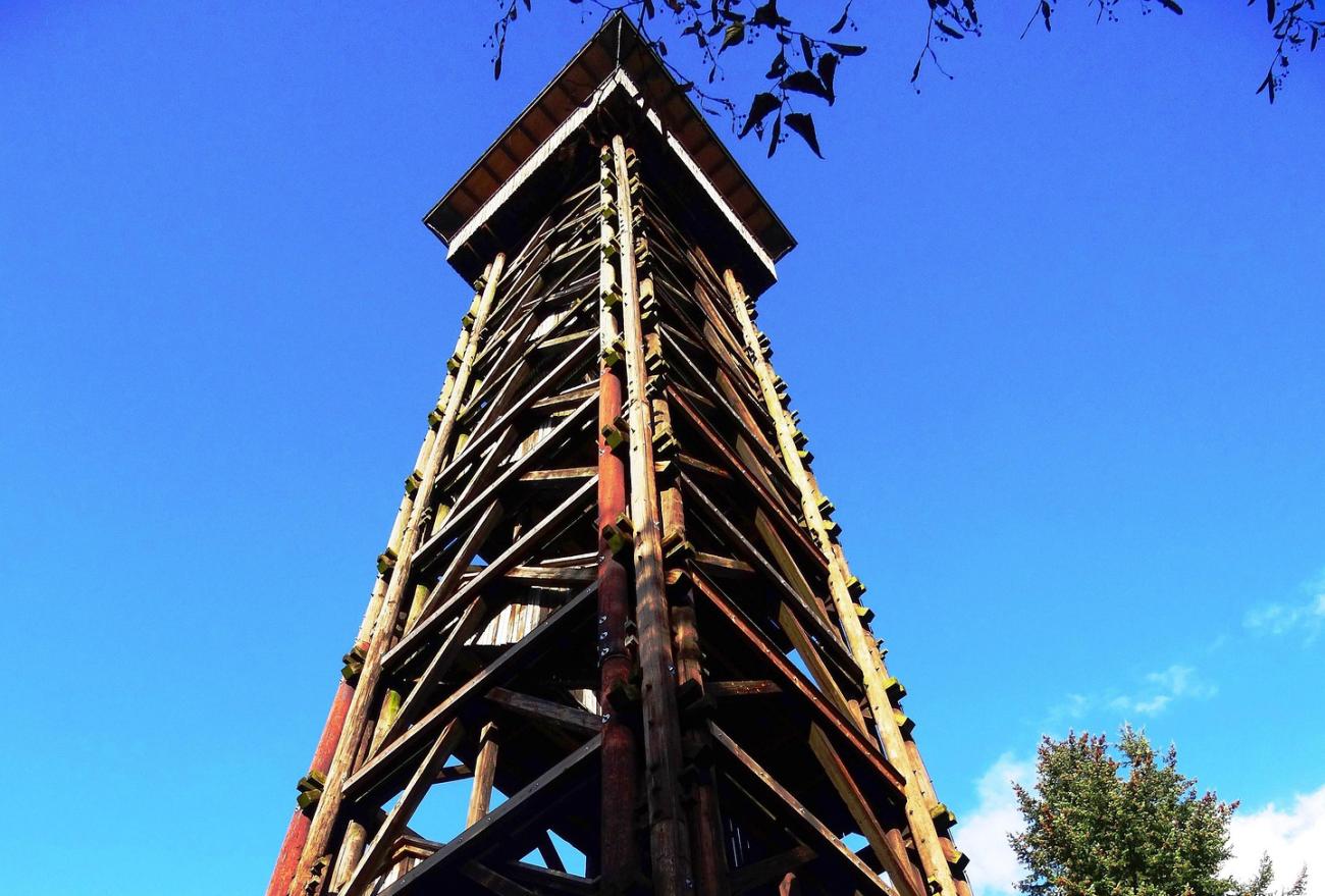 Raus ins Grüne und hoch hinaus: Der Goetheturm im Stadtwald