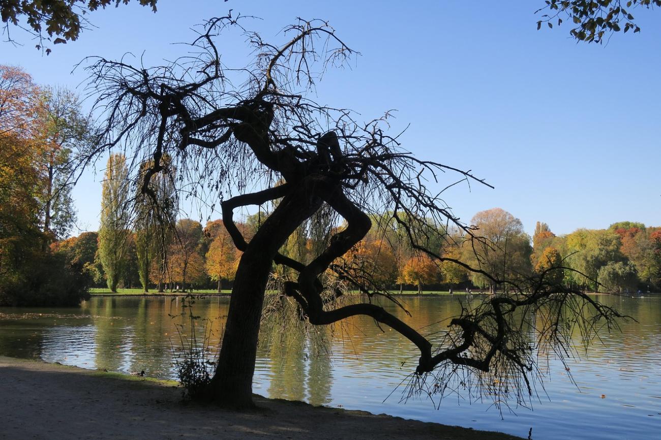 Tretbootfahren auf dem Kleinhesseloher See (und das beste Biergarten-Essen danach)