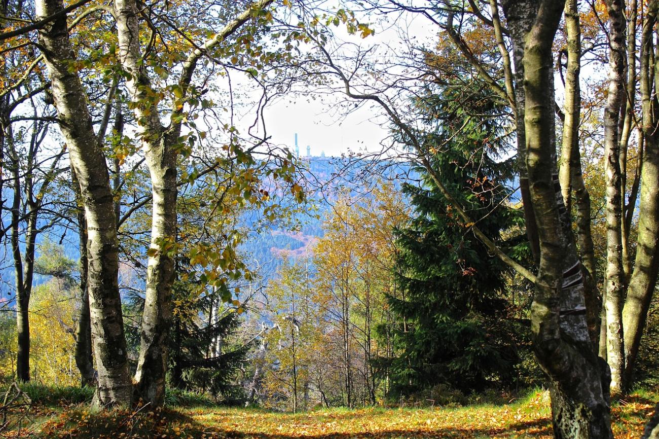 Raus in den Taunus: Wanderung auf den Großen Feldberg und zum Altkönig