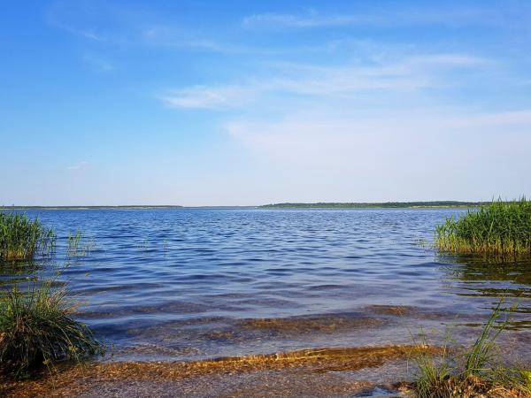 Das Neuseenland: Welcher See passt zu dir? (Cosi, Kulki, Markkleeberger & Co.)
