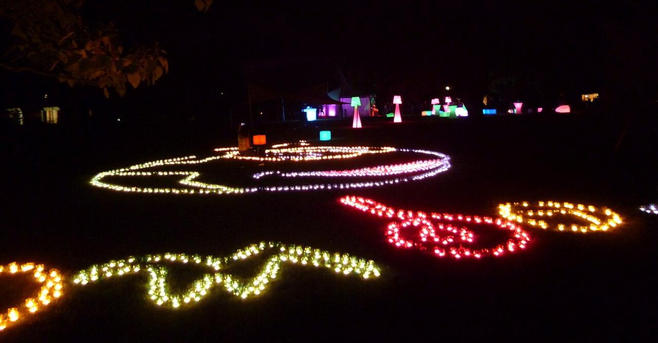 Lichterfest: Das funkelnde Sommer-Highlight im Westfalenpark