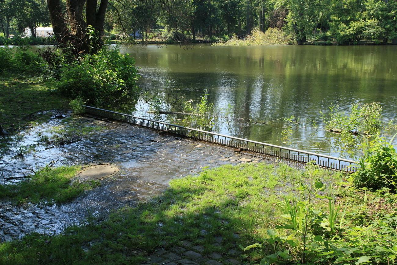 Dortmunds grüne Lunge im Westen: Zwischen Solebad, Eissport und Waldidylle