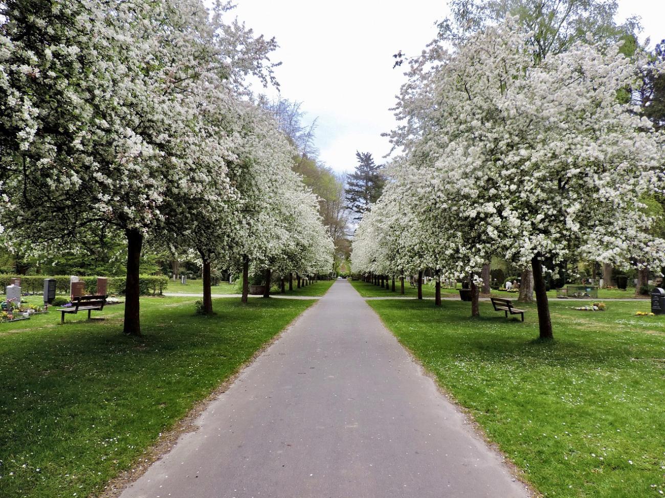 Friedhof Ohlsdorf: Der größte Parkfriedhof als Ort der Ruhe, Kultur und Gartenkunst