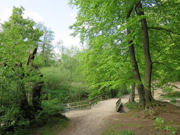 Wandern in der Stadt: Auf dem Alsterwanderweg von der Quelle bis in die City