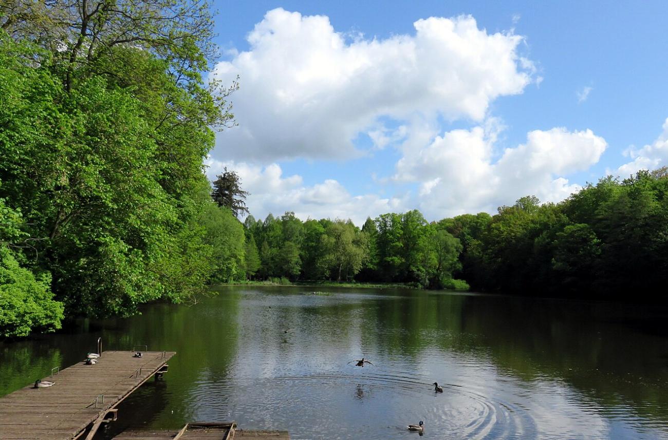 Wandern in der Stadt: Auf dem Alsterwanderweg von der Quelle bis in die City