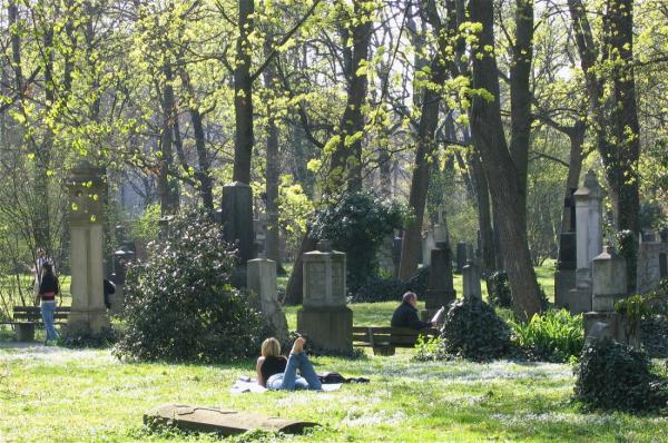Der Alte Nordfriedhof: Picknick zwischen Grabsteinen? Warum dieser Ort so magisch ist