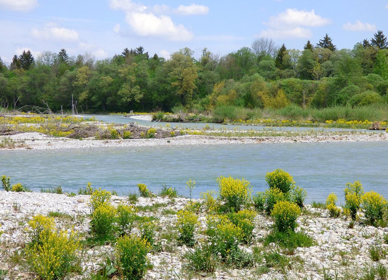 Der ultimative Guide für den Flaucher und die schönsten Kiesbänke der Isar